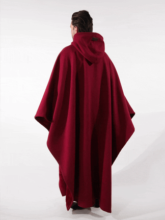 Harry Potter's Invisibility Cloak-LLH