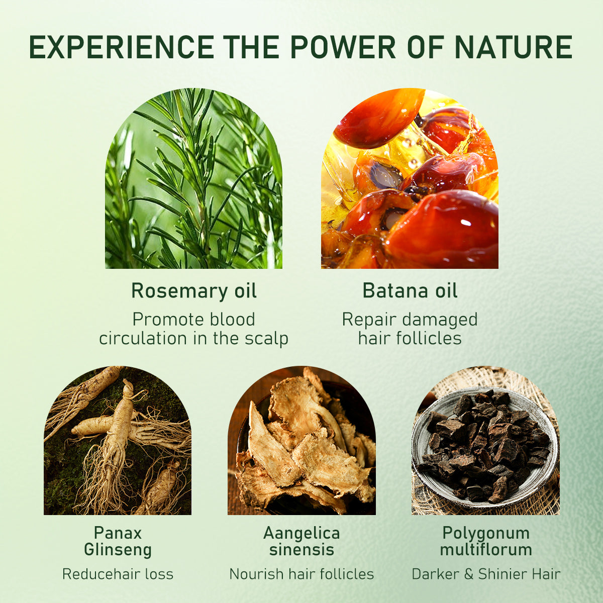 FUNZOO Hair Growth Serum Roll-On with Batana Oil & Rosemary for Scalp Care - Nourishing & Hair Regrowth Formula - 20ml