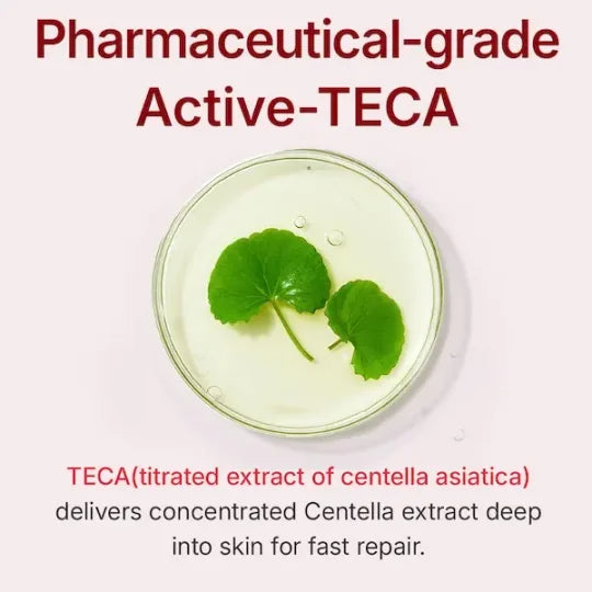 Madeca Cream Time Reverse Anti-Aging Moisturizer for Wrinkles & Dry Skin | Cica + Hyaluronic Acid | Korean Skincare