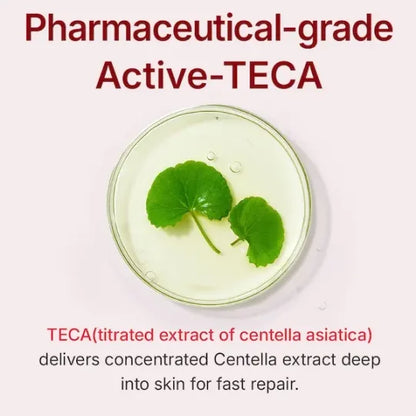 Madeca Cream Time Reverse Anti-Aging Moisturizer for Wrinkles & Dry Skin | Cica + Hyaluronic Acid | Korean Skincare